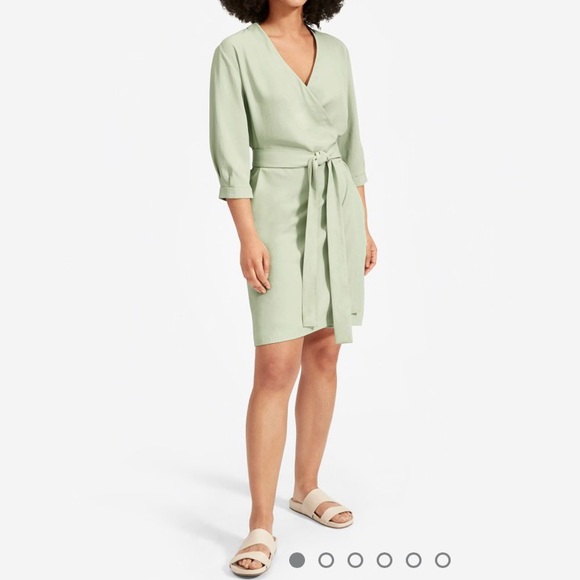 Everlane Dresses & Skirts - Everlane Japanese GoWeave Long-Sleeve Wrap Dress